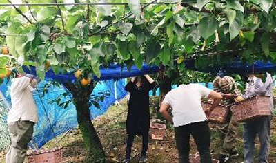 娯楽イベント部